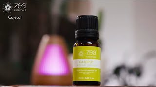 Cajeput Essential Oil Melaleuca cajuputi  Zea Essentials [upl. by Latyrc]