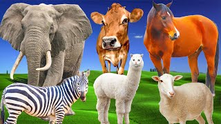 Herbivores  elephant cow horse goat giraffe  Animal sounds  Part 16 [upl. by Raab524]