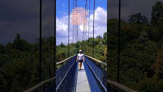 Tree top trail mac Ritchie reservoir Singapore shortvideo pinoyofwbuhayofw ofwsg inspiration [upl. by Harias]