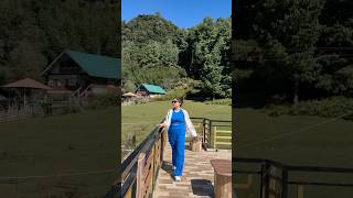 WowEman dhunia🌸 assameseshorts minivlog ziro arunachalpradesh [upl. by Darwen]