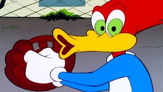 Woody Woodpecker Show  Cheap Seats Woody  Full Episode  Cartoons For Children [upl. by Frodina]