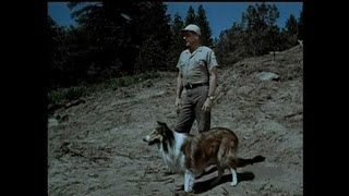 Lassie  Episode 454  quotThe Homelessquot  Season 14 Ep 7  10221967 [upl. by Neitsabes]