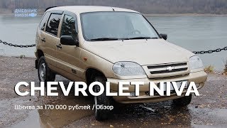 Дневник Нивы  Шнива за 170 тысяч рублей  Обзор Chevrolet NIVA 2004 [upl. by Kimberli]