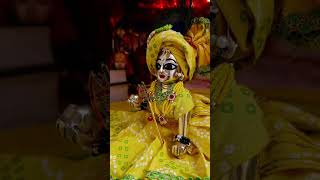 laddugopal love song ytshorts kanhaji vrindavan radharanibarsana gopalji ❤️🙏🏻🌹 [upl. by Dirgis503]