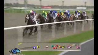 2010 Godolphin MIle  Calming Influence [upl. by Erasmus]