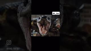 india indian uzbekistan russia moscow snake anaconda film shorts youtubeshorts samsung [upl. by Nodyarg673]