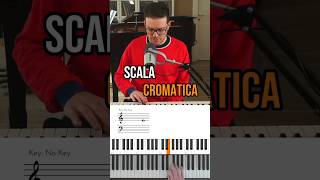 🎹 Come eseguire la Scala Cromatica al Pianoforte pianotutorial lezionidipianoforte pianoforte [upl. by Aehtna464]