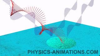 222  Light reflected from a specimen surface changes the state of polarization [upl. by Yttap]