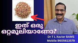 താതിരിപൂവ് ഇങ്ങനെയൊക്കെ ഉപയോഗിക്കാം  Woodfordia Health amp Healing [upl. by Lanod299]