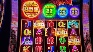 🔴Chasing MEGA JACKPOT BUFFALO POWER PAY shorts live jackpot short [upl. by Einhoj]