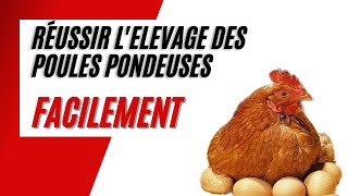 Comment Bien Débuter lElevage des Poules Pondeuses en 5 Etapes [upl. by Shelman]