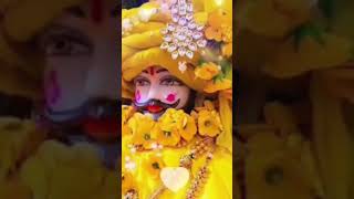 Hare k sahare ki Jai Jai shree khatu shyam baba ji ki jai ❤️❤️shayam diwanijab Jan haar k shayam [upl. by Florrie57]