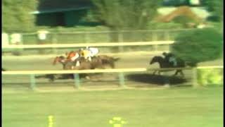 1980 Longacres Mile [upl. by Nosyd]