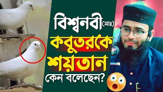 কবুতরকে শয়তান বলেছেন বিশ্বনবী কিন্তু কেন Abrarul Haque Asif [upl. by Ridgley]