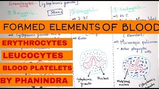 FORMED ELEMENTS OF BLOOD  ERYTHROCYTES  LEUCOCYTES  BLOOD PLATELETS  BY PHANINDRA GUPTHA [upl. by Johnnie]