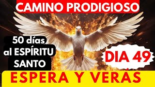 Día 49🔥🙏 CAMINO PRODIGIOSO 50 DÍAS AL ESPÍRITU SANTO PREVIO AL PENTECOSTÉS 🎉Espera y verás [upl. by Annoid]