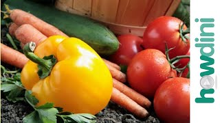 Organic gardening How to grow an organic vegetable garden [upl. by Davy]