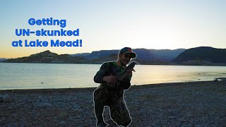 Learning how to fish lake mead Ep 1 [upl. by Chapin]