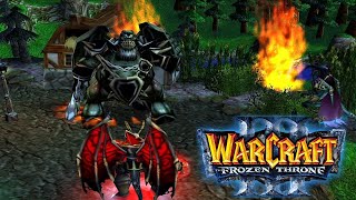 ИГРАЮ НА OZE LTD X20  СМОТРИМ НА БАЛАНС  Warcraft 3 [upl. by Leavelle]