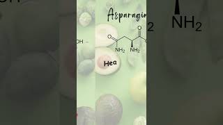 Asparagine  Non Essential Amino Acid proteinsource nonessentialaminoacid asparagine [upl. by Tyrrell]