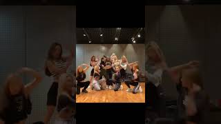 Lisa  Senorita dance practice part 5 shorts [upl. by Weatherby]