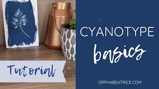 Cyanotype Basics How to use Jacquard Cyanotype Sensitizer Set DIY cyanotype prints [upl. by Atirrehs]