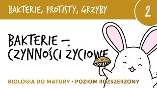 Bakterie protisty grzyby 2  Czynności życiowe bakterii  biologia do matury rozszerzona liceum [upl. by Naivaf987]