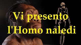 ECCEZIONALE SCOPERTA LHOMO NALEDI UNA NUOVA SPECIE UMANA [upl. by Dav]