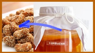 How to Make KOMBUCHA Scoby Fruity Snacks [upl. by Magill]