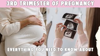 🤰 Literally EVERYTHING You Need to Know About the 3rd Trimester of Pregnancy pregnancy [upl. by Lebatsirhc964]