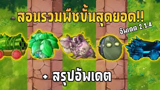 สอนรวมพืชขั้นสุดยอด มีเเต่ตัวโกงๆที่เพิ่มเข้ามาสรุปอัพเดต214  pvz fusion mod [upl. by Bullen]