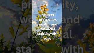 Transform Your Life with Abundance  Affirmations amp Music [upl. by Ecal]