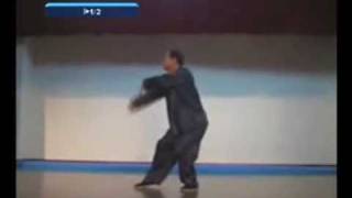 Yongjia by Sim Pooh Ho in slow motion [upl. by Gaynor]