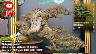 Indonesia Bonsai and Suiseki ConventionUltimate Bonsai From Indonesia [upl. by Brodsky]