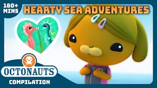 Octonauts  ❤️ Hearty Sea Adventures 🌊  3 Hours Compilation  Underwater Sea Education for Kids [upl. by Manon]