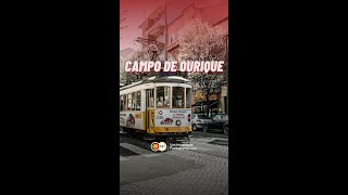 Campo de Ourique  Lisboa [upl. by Saudra629]