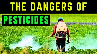 The Dangers of Pesticides Protecting Yourself and the Environment [upl. by Suoicul]