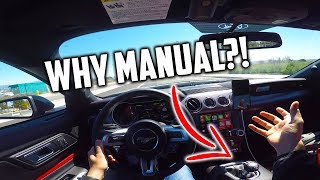 Why I got a MANUAL 2019 MUSTANG GT Let me EXPLAIN [upl. by Kohn]