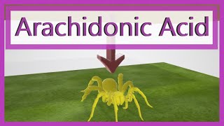 Arachidonic Acid Pathway Mnemonic [upl. by Lalittah]