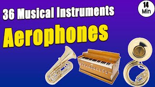 Aerophones 36 Musical Instruments with Pictures amp Video  Ethnographic Classification [upl. by Margherita]