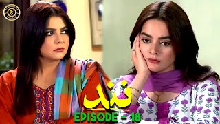 Nand Episode 18  Minal Khan amp Shehroz Sabzwari  Top Pakistani Drama [upl. by Kcirevam484]