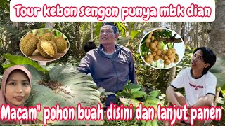 TOUR KEBON SENGON PUNYA MBK DIAN ADA MACAM” BUAH DISINI  SEKALIAN IKUT AKUNG PANEN PISANG [upl. by Erodavlas]