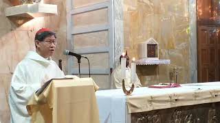 Mass with Cardinal Tagle Feast of the Annunciation March 25 2020 [upl. by Marielle]