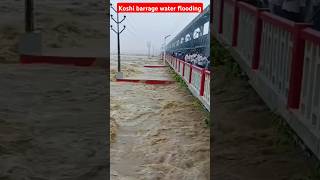 Huge water released in Koshi Barrage near BiharNepal border flood floods flooding floodalert [upl. by Calvo]