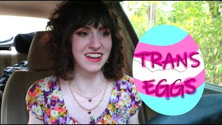 Trans Eggs Lets Talk About It [upl. by Ahsirat945]