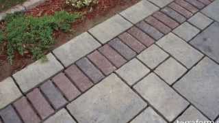 Polymeric sand joint replacement project [upl. by Eatnohs]