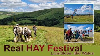 The Real HAY Festival 2024  Llanidloes Mid Wales [upl. by Rachelle]