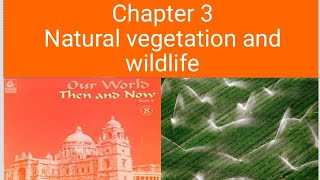 class 8 geography chapter 3 Natural Vegetation and Wildlife [upl. by Clifton]