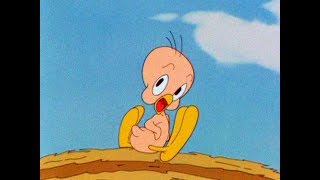 75 Years of Tweety [upl. by Dombrowski]