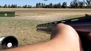 LIVE FIRE REVIEW 12 gauge TriStar Setter ST at the range TRAPWOBBLER [upl. by Inittirb251]